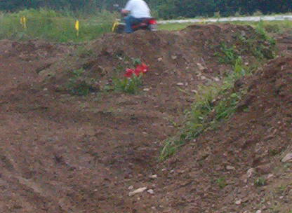 Balls out MX